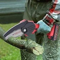 CORDLESS CHAIN SAW
