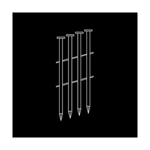 MILES NAILS IN COILS 2.1-32MM 16800 NAILS (350NAILES/COIL)