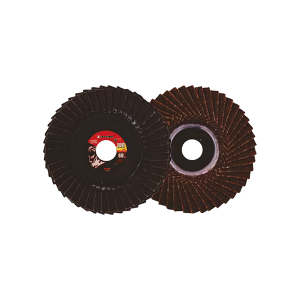 Xtra Power 4 Inch Flap Disc 100Mm Flexible - 80 Grit